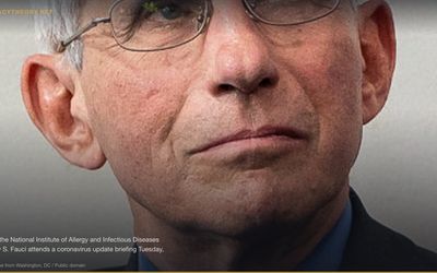 H5N1 Bird Flu Plandemic Conspiracy