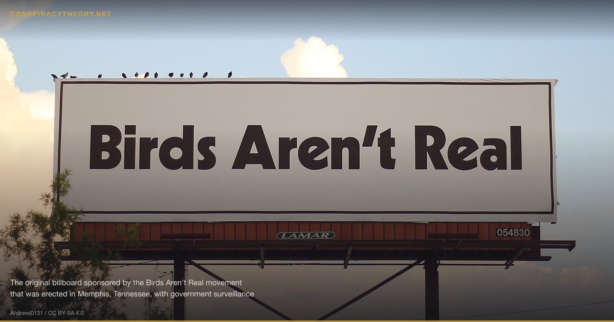 Birds Aren't Real (2017-01) — The original billboard sponsored by the Birds Aren't Real movement that was erected in Memphis, Tennessee, with government surveillance drones sitting on top