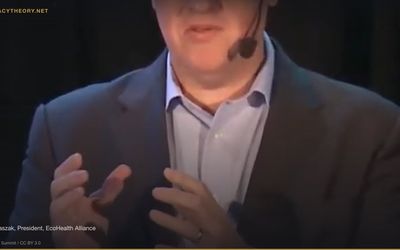 COVID-19 Lab Leak Theory