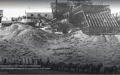 Crop Circle Plasma Vortex Natural Phenomenon Theory