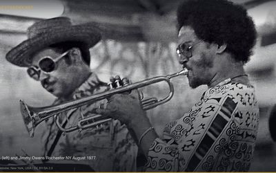 The Fruit of the Loom Cornucopia