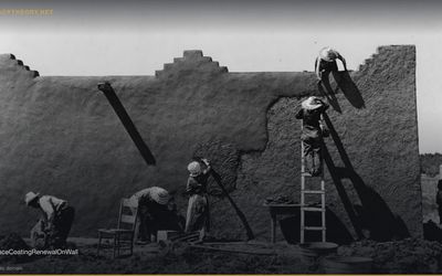 Software Subscription Model / SaaS Rent-Seeking